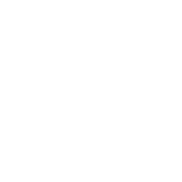 ce logo Lynchburg