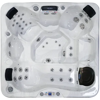 Avalon EC-849L hot tubs for sale in Lynchburg